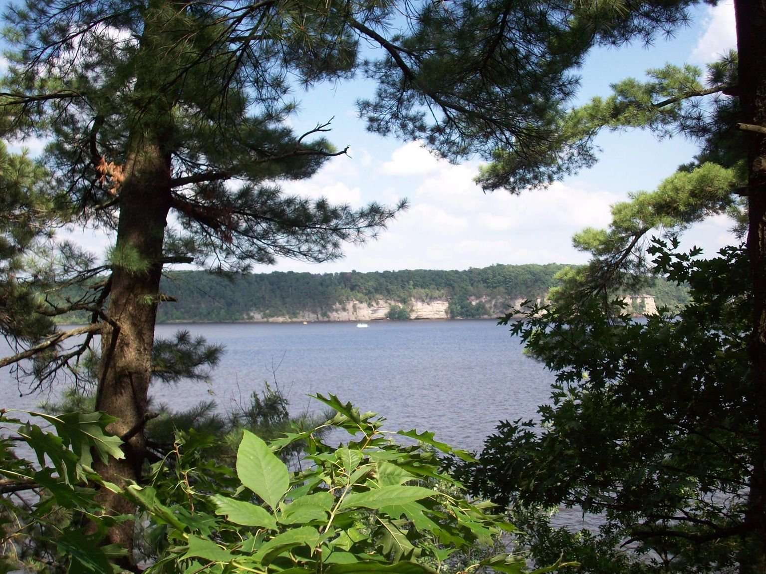 Lake view through the pines near Lyndon Station, Wisconsin